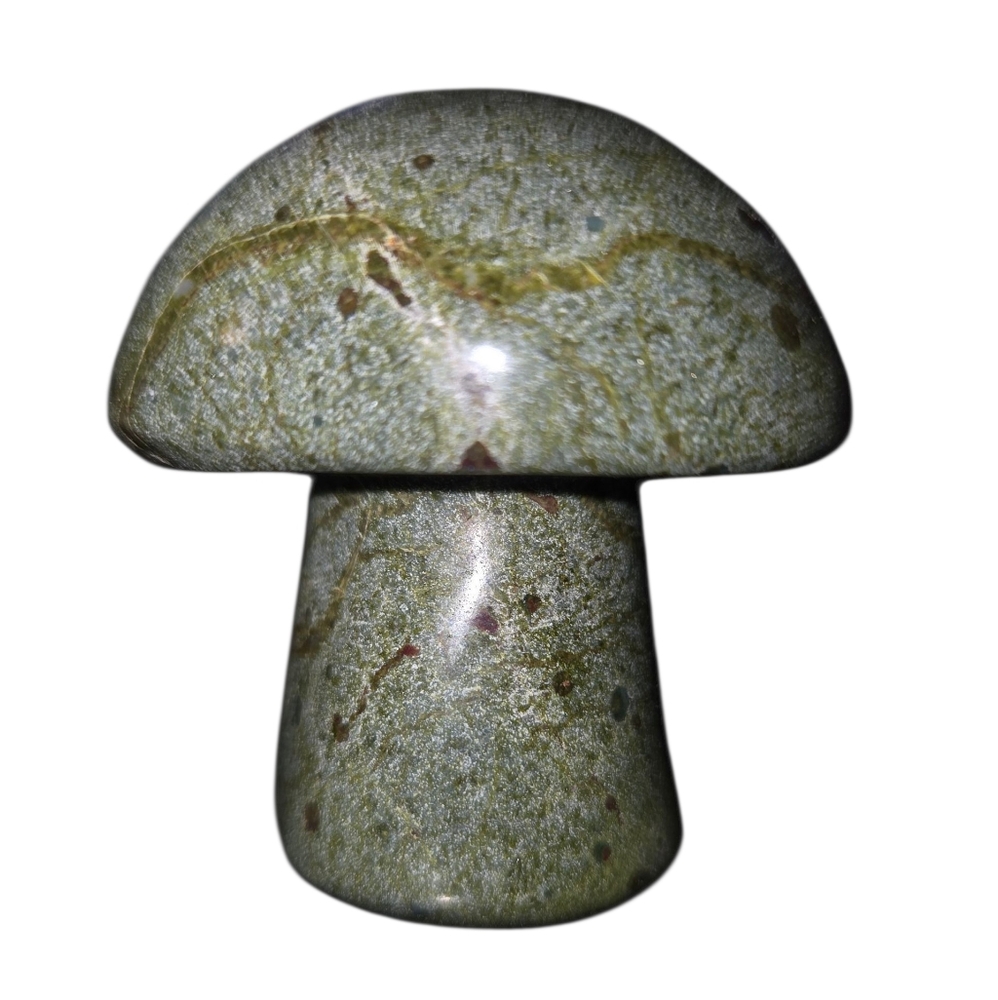 Chunky Bloodstone Jasper Mushroom Carving NEW
